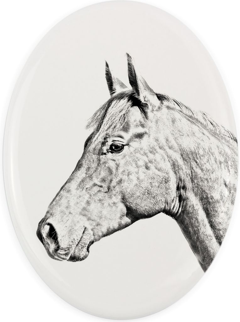 Holsteiner Pferd - Gedenktafel mit einem Pferdefoto, Grabplatte mit Druck, personalisierte ovale Platte von Art-Dog.