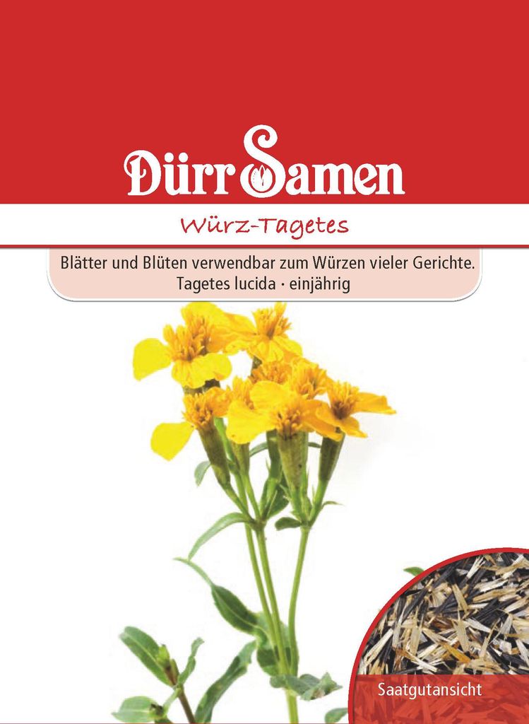 Würztagetes | Würztagetessamen von Dürr Samen Produktbild 