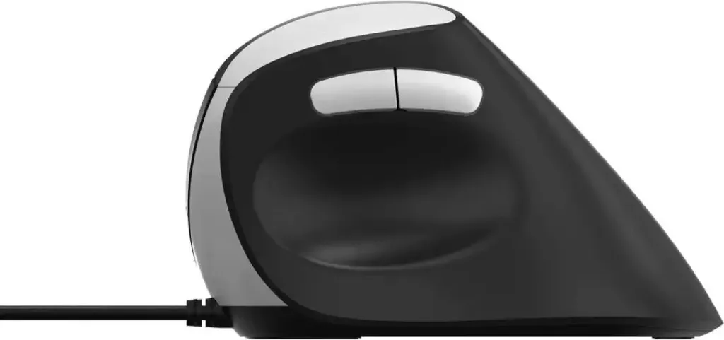 Souris Rapoo EV200 Optique Filaire USB 1600 DPI Noire et Argentée