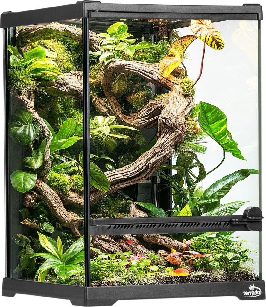 Terrario Oasis Verde 5 - terrarium 20x20x30cm Zdjęcie produktu 