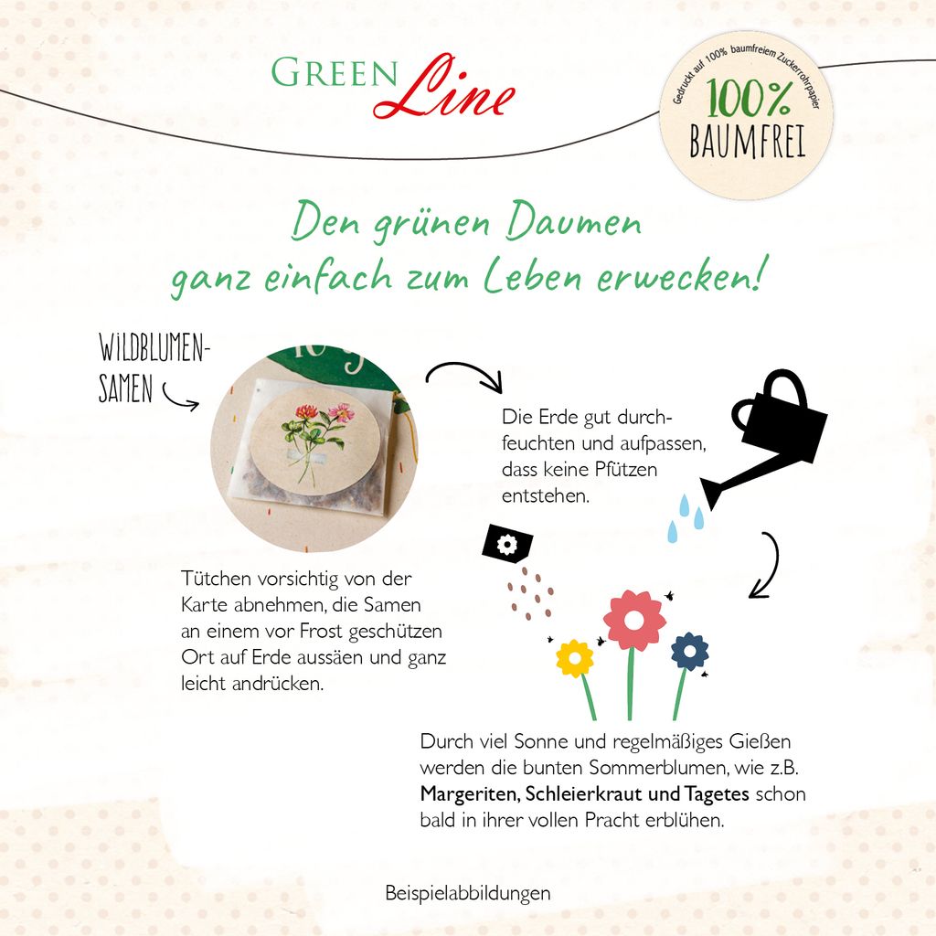GreenLine Geburtstagskarten mit echten Blumensamen, 8 Stück Produktbild 4