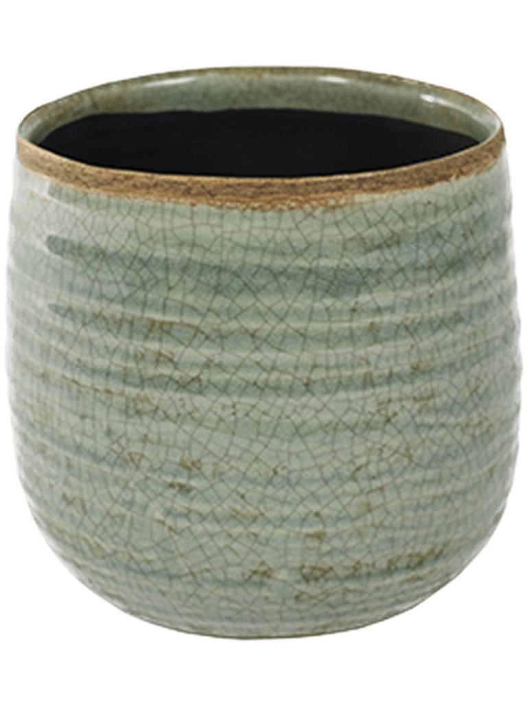 Topf Iris mint D14 H12