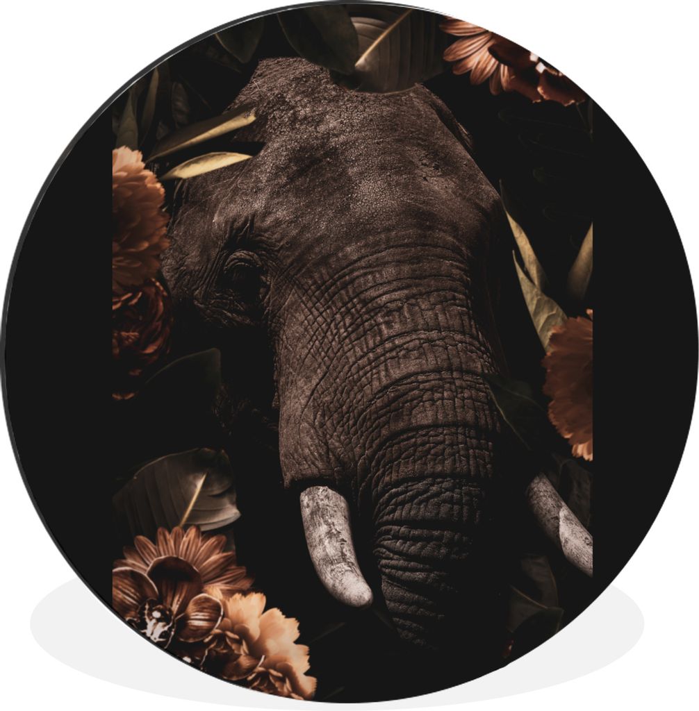 MuchoWow - Wand Kreis - Wandbild - Schlafzimmer - Aluminium Bild - Kinderzimmer - Wohnzimmer Dekoration - Wandschmuck