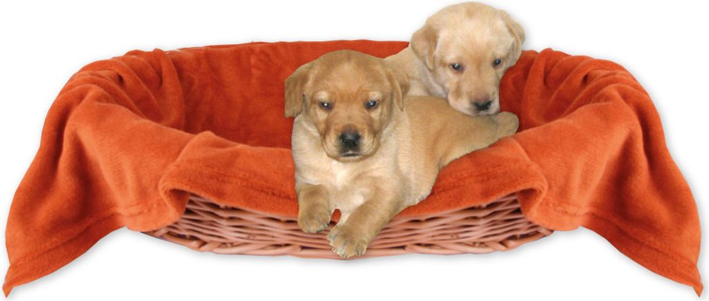 Hundedecke - Tierdecke, Maße: 70x100 cm, Farbe: Terracotta
