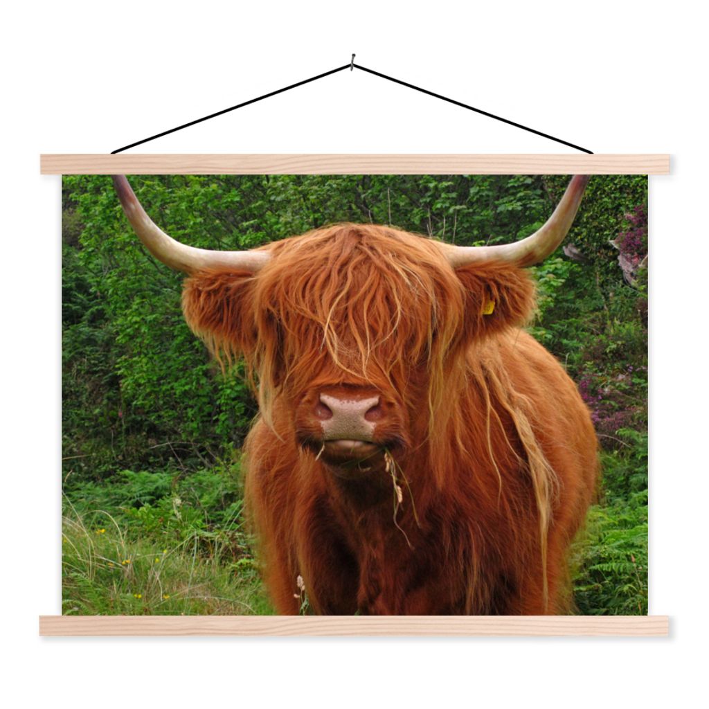 MuchoWow Textilposter Schottischer Highlander - Kuh - Gras 60x45 cm mit holzfarbenen Rahmen - Bild