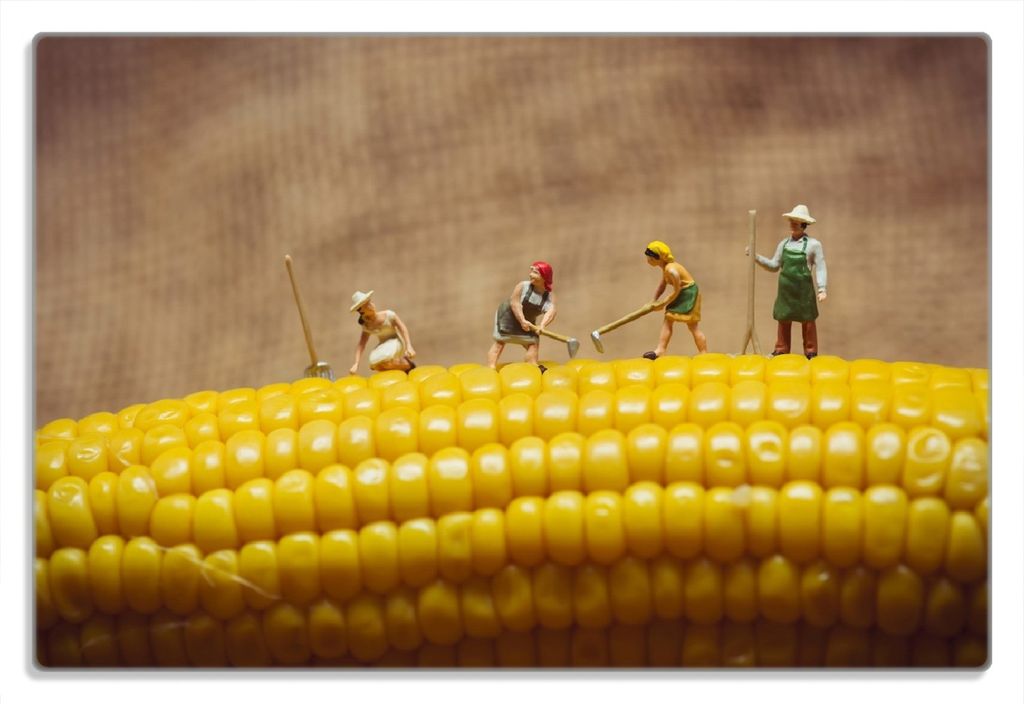 Wallario Frühstücksbrettchen aus Glas 20 x 30 cm mit rutschfesten Füßen, Motiv Lustige Bauernfiguren auf einem Maiskolben beim Arbeiten