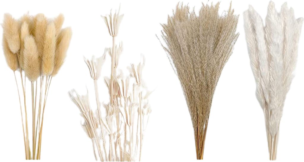 Bund trockenes Schilfgras, kein Gießen, nicht verwelkt, pflegeleicht, natürlich, getrockneter Pflanzenstrauß, DIY, Hochzeit, Boho-Blume, Heimdek...