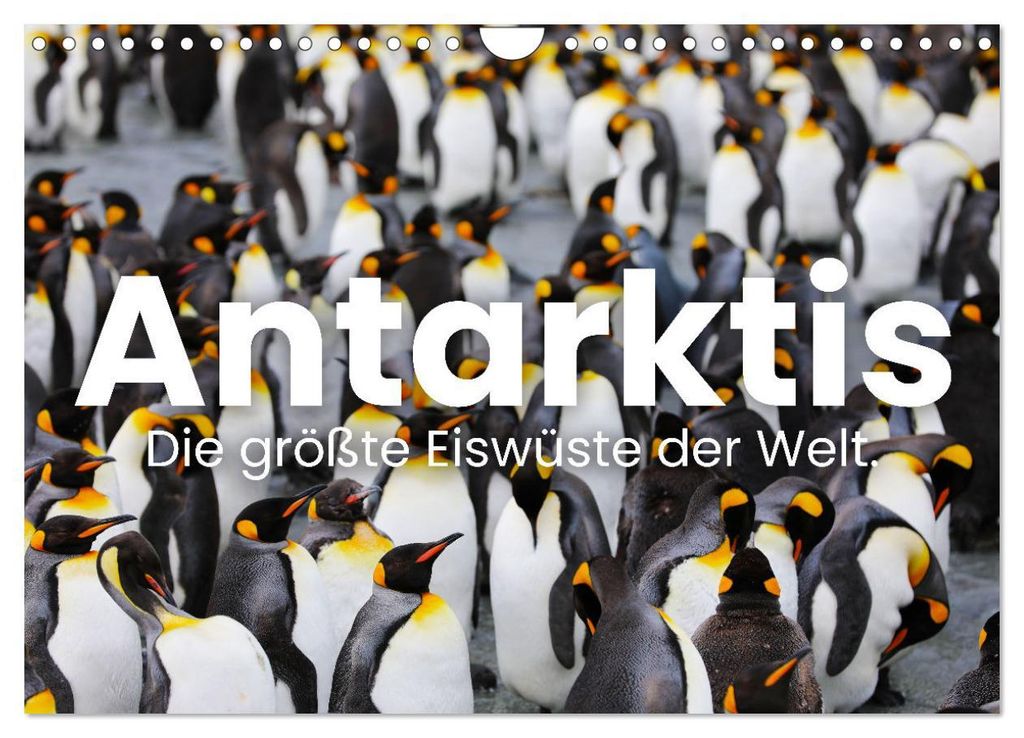 Antarktis - Die größte Eiswüste der Welt. (Wandkalender 2027 DIN A4 quer), CALVENDO Monatskalender