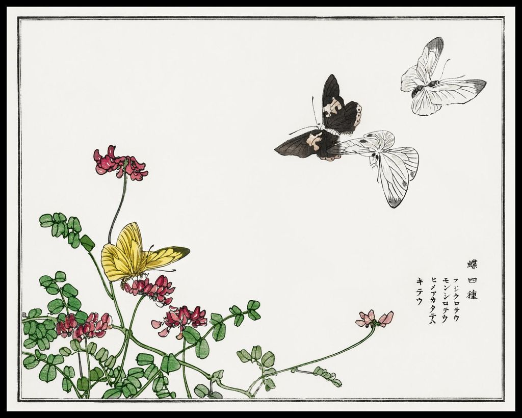 Plakat 76x60,5cm Schmetterlinge und Blumen Morimoto Toko Japanisch Vintage für das Wohnzimmer