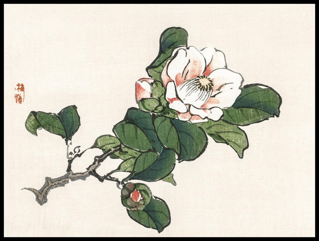 Plakat 80x60cm Camelia, Kōno Bairei Japanisches Vintage für das Wohnzimmer