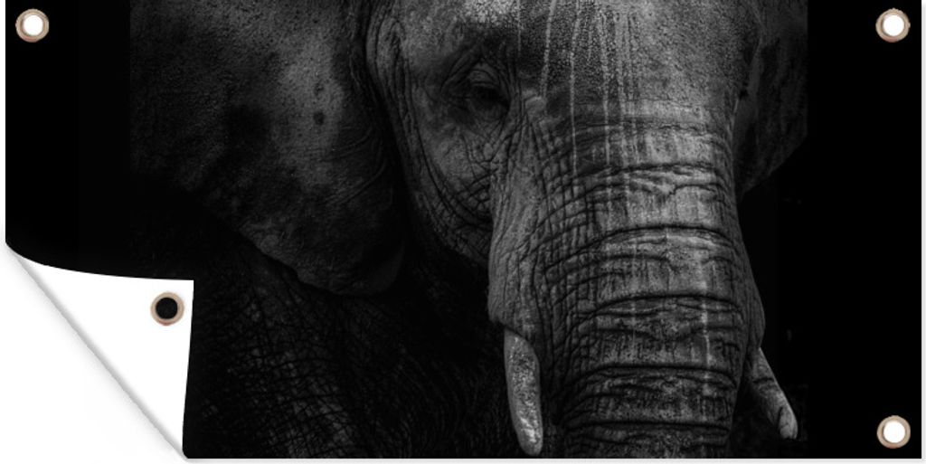 MuchoWow 160x80 cm Outdoor-Poster Gartendeko Sichtschutz Garten Poster für den Garten Elefant - Tier - Porträt