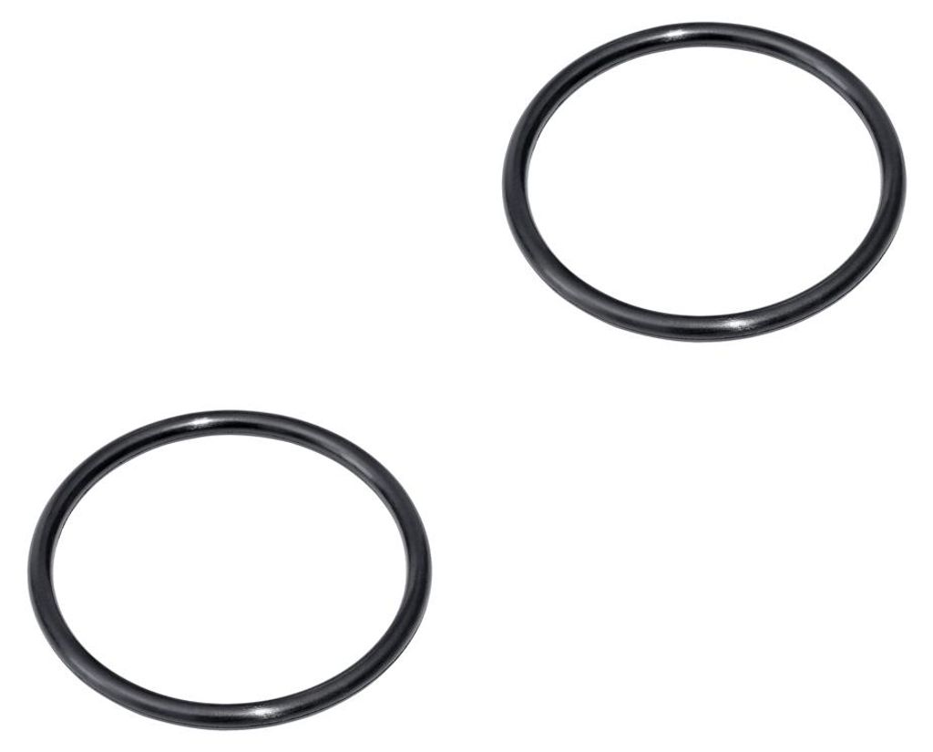 Bestway Ersatzteil O-Ring (Wassereinlass / 2 Stück) für integrierte AirJet Pumpen