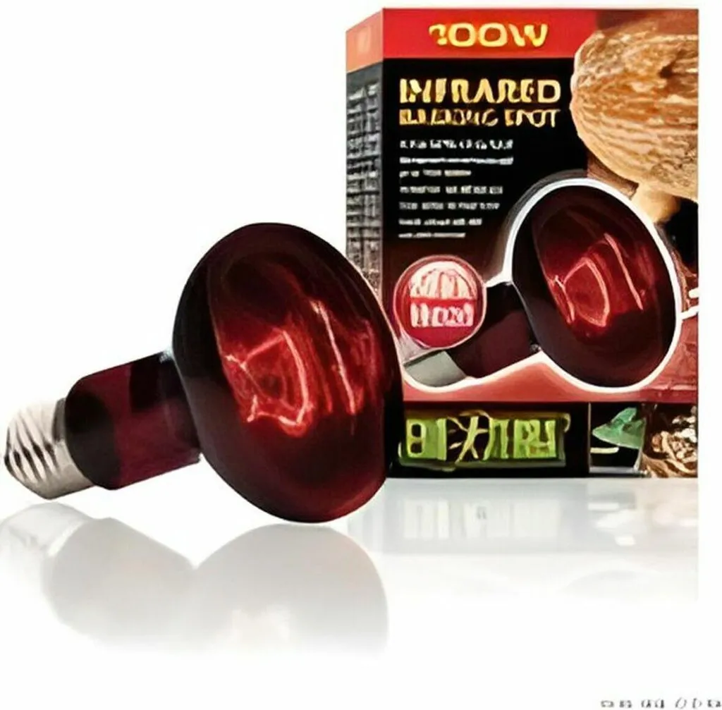 Système Infrarouge Exo Terra 100W : Chaleur Radiale et Haute Qualité