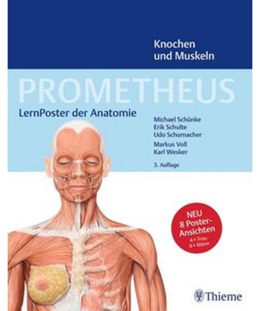 PROMETHEUS LernPoster der Anatomie, Knochen und Muskeln Produktbild 