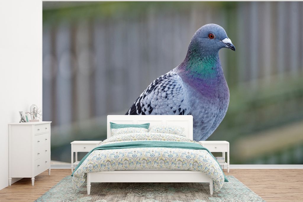 MuchoWow Fototapete für Wohnzimmer oder Schlafzimmer Wandtapete Vinyl Motivtapete Taube - Vogel - Lila - Federn - 295x220 cm - Wand Tapete