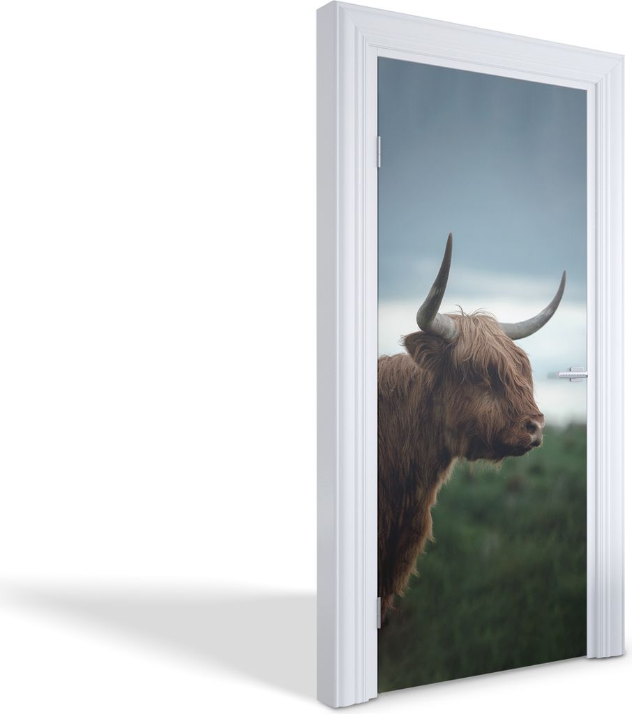 Innentür Folie Modern Selbstklebende Wandsticker Personalisiert - Schottische Hochlandrinder - 95 x 205 cm
