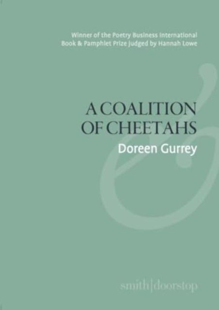 A Coalition of Cheetahs
