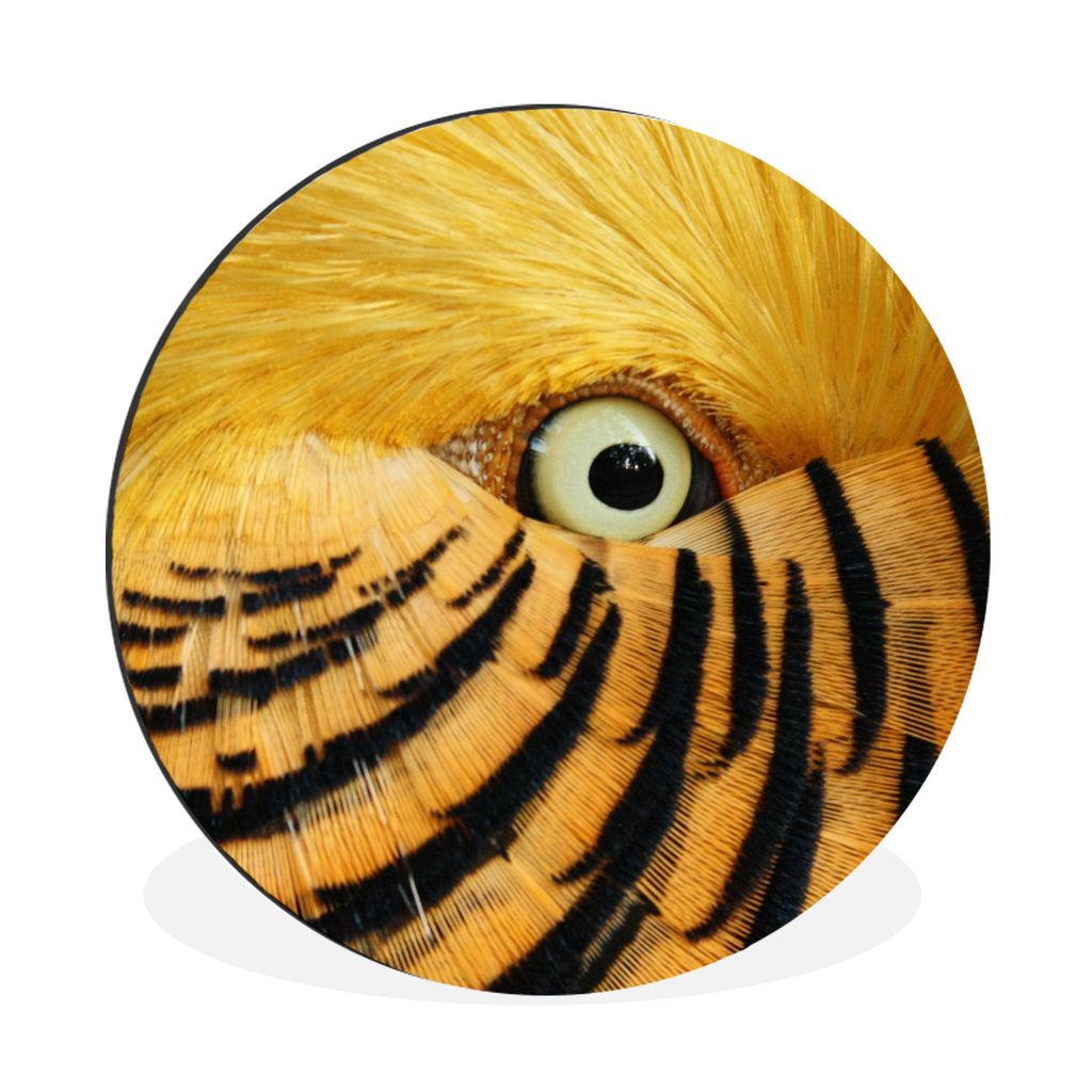 MuchoWow Aluminium Wandkreis Nahaufnahme des Auges eines Vogels mit gelben Federn und schwarzen Streifen Ø 60 cm Wanddeko Modern Wohnzimmer - Wa...