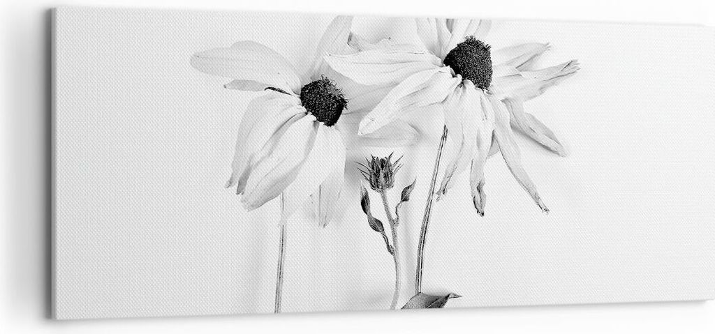 Bild auf Leinwand - Leinwandbild - Einteilig - Verwelkt Blumen Monochrom - 120x50cm - Wand Bild - Wanddeko - Wandbilder - Leinwanddruck - Bilder - ...
