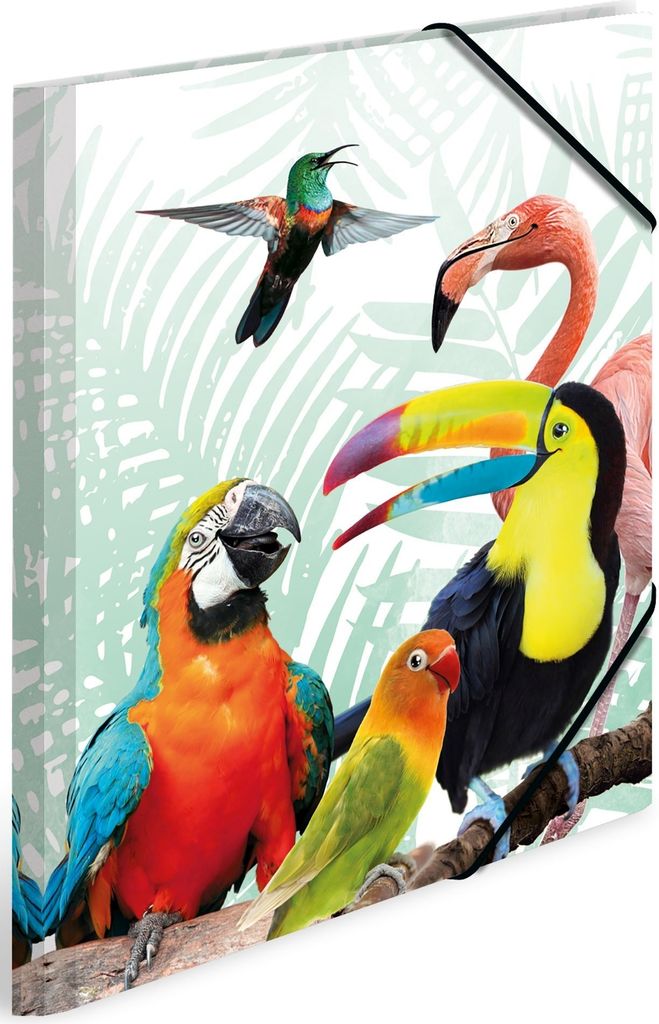 Sammelmappe A4 PP Tropenclique Packung mit 3 Stück