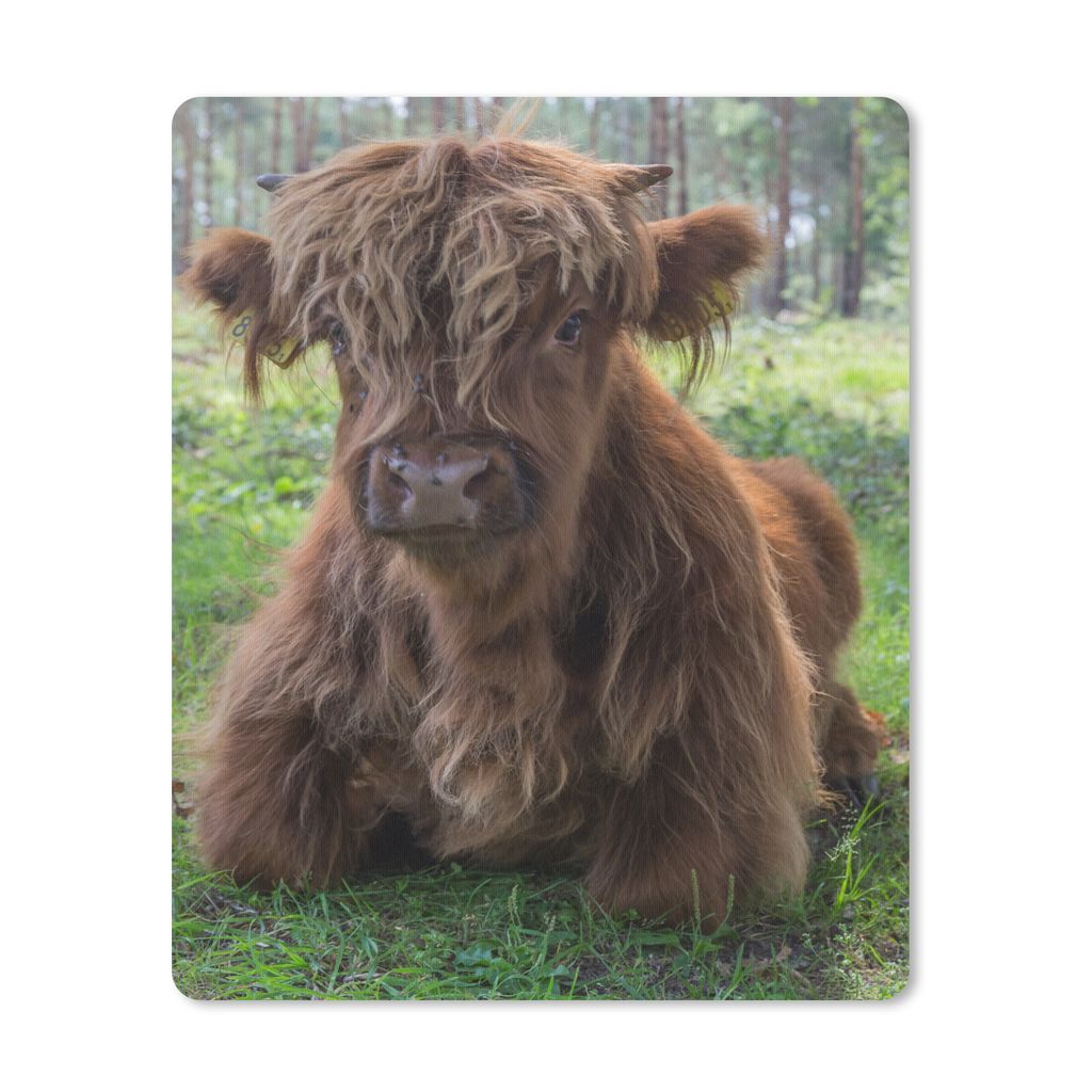 MuchoWow Mauspad Mousepad Schottischer Highlander - Kröte - Tiere 19x23 cm - Mousepads - Maus Mat - Pad - Mausunterlage - Mauspads - Spielen