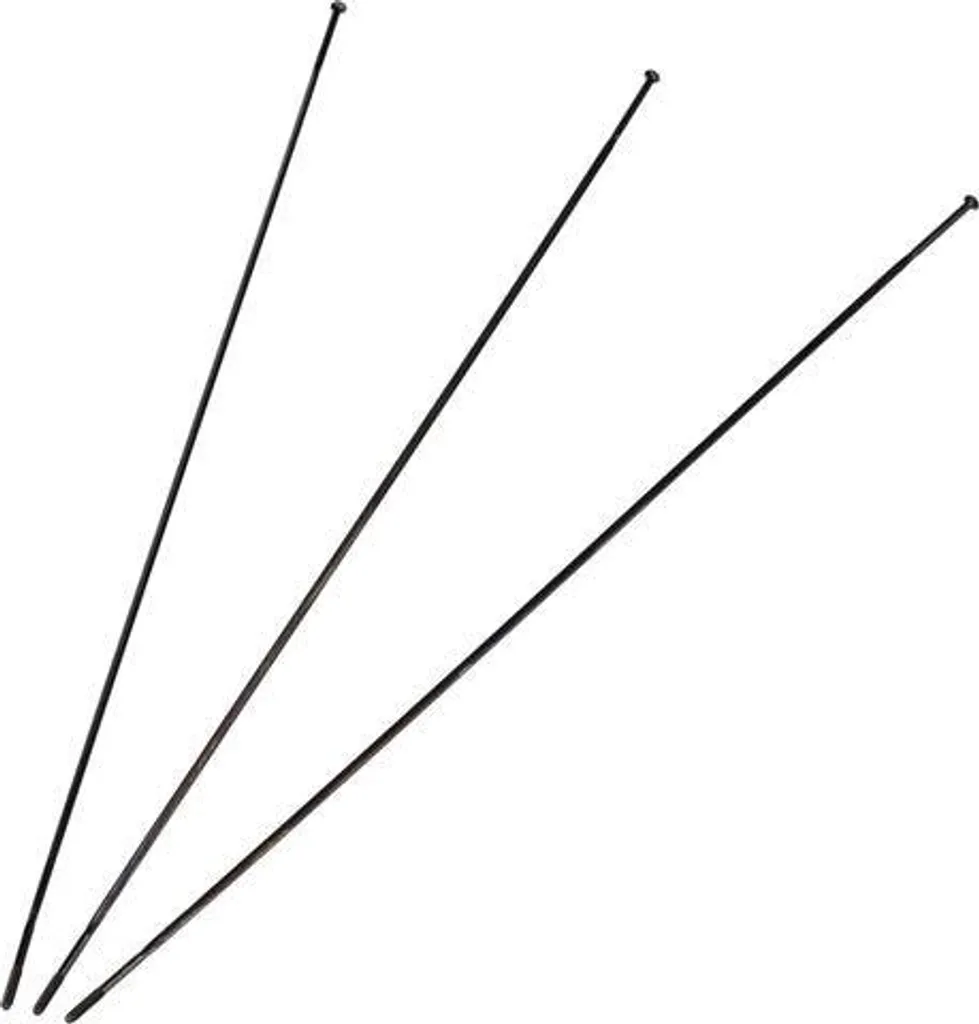 Réparer une roue SRAM Roam 60 29 pouces : Rayons 290 mm et écrous noirs