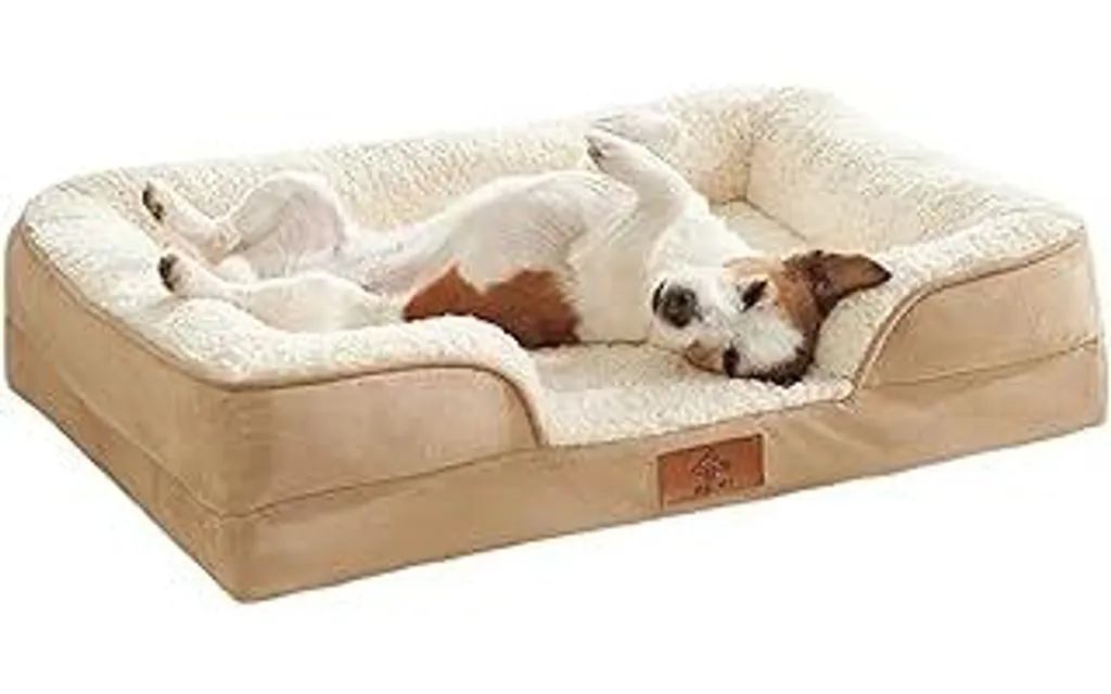 Migliore Cuccia Ortopedica Cani Media Taglia | Lavabile Memory Foam