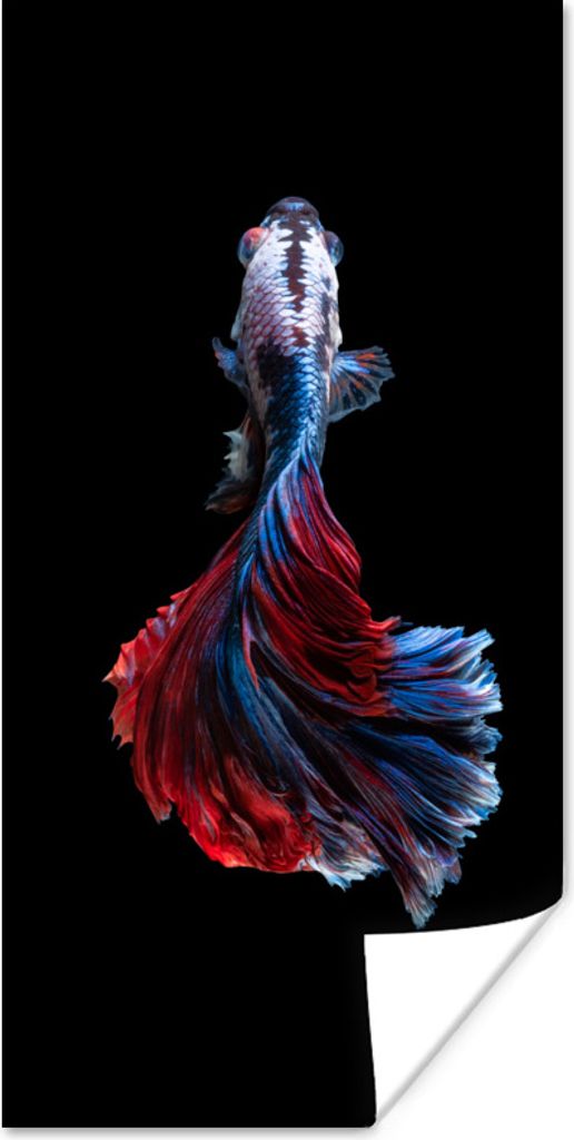 MuchoWow Poster Fisch - Schwanz - Schwarz 80x160 cm - Kinderzimmer