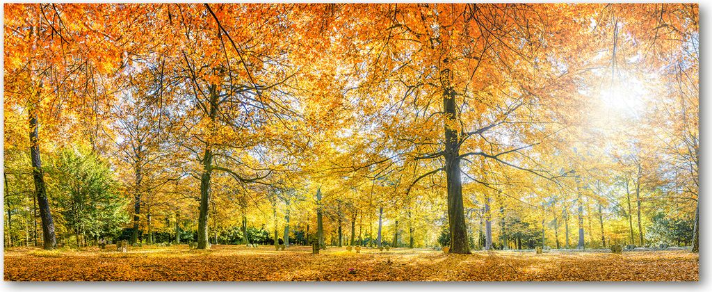 Tulup Küchenrückwand Spritzschutz aus Glas -125x50 -Spritzschutz auf gehärtetes Glas Deko Landschaften Herbstwald