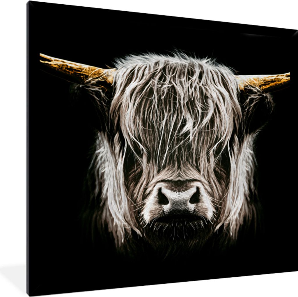 MuchoWow Gerahmtes Poster Schottischer Highlander - Gold - Hörner - Schwarz und weiß - Kuh - Tiere 40x40 cm - Poster mit Schwarzem Bilderrahmen...