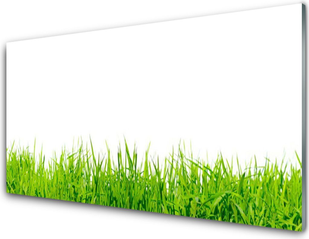 Küchenrückwand aus Glas 100x50cm Spritzschutz Gras Natur