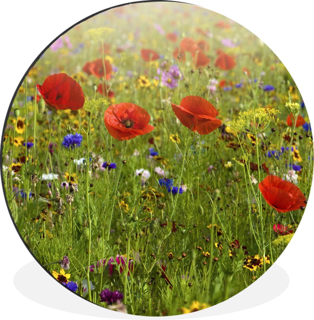 MuchoWow Aluminium Wandkreis Frühling - Blumen - Rot - Mohn - Gras - Grün Ø 90 cm Wanddeko Modern Wohnzimmer - Mauerkreis - Wandbilder - Runde...