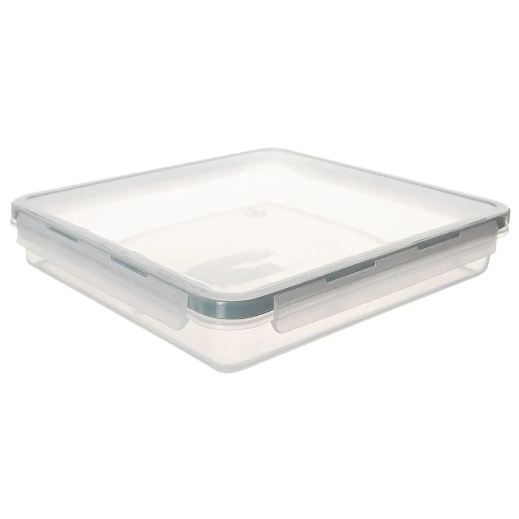 orion group Contenitore Scatola Portaoggetti Plastica Multiuso con Coperchio Clip per Giocattoli Alimentari, 9 l