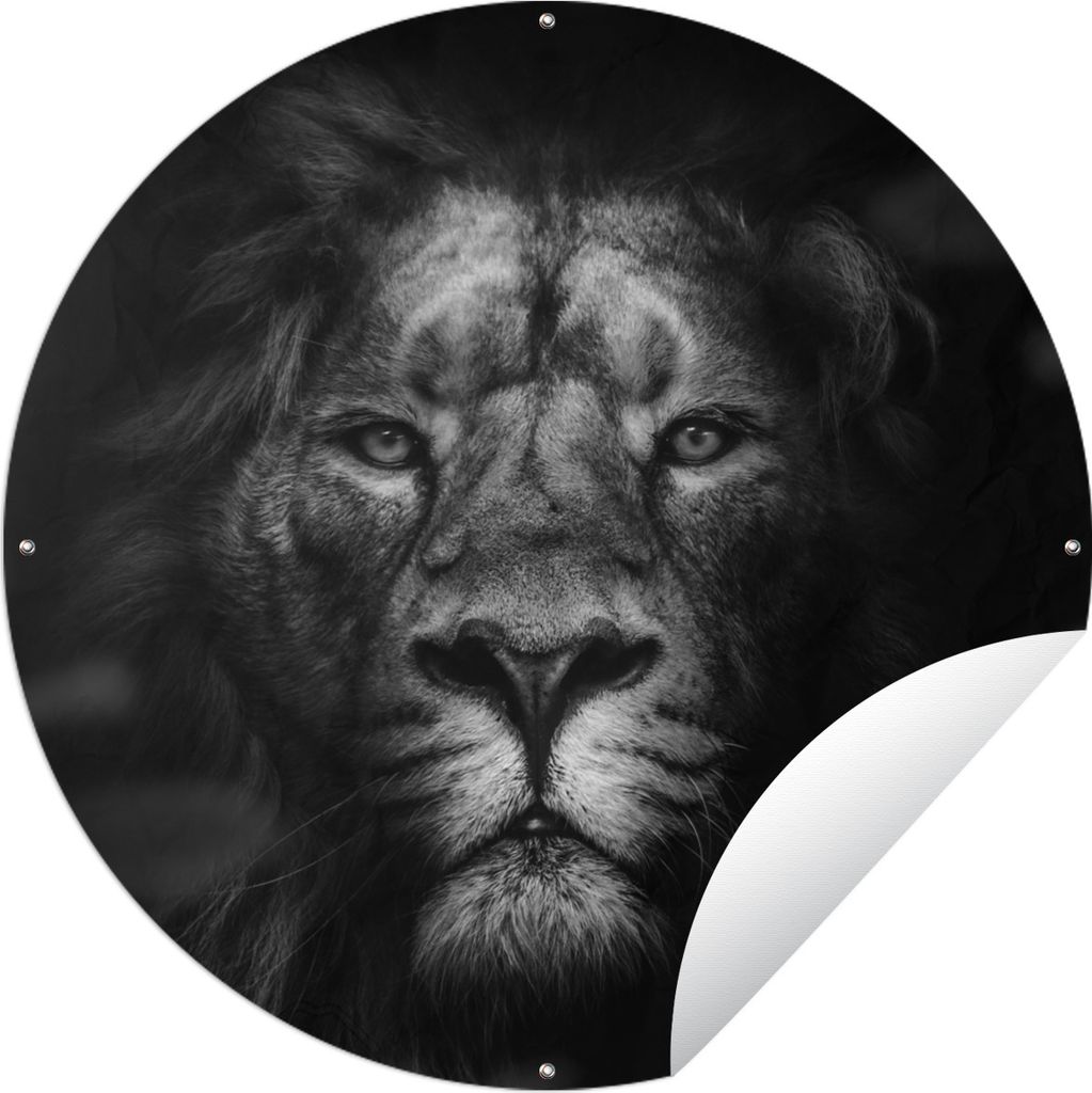 MuchoWow Gartenposter Outdoor-Poster Rund Tiere - Löwe - Raubtier - Schwarz - Weiß Ø 60 cm Gartendeko Rundes Poster draußen