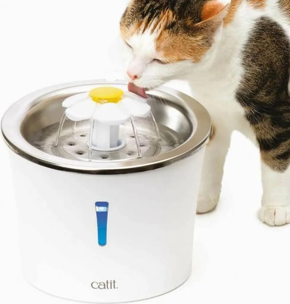 Abreuvoir fontaine à eau Catit en inox pour chat et petit chien - Bleu