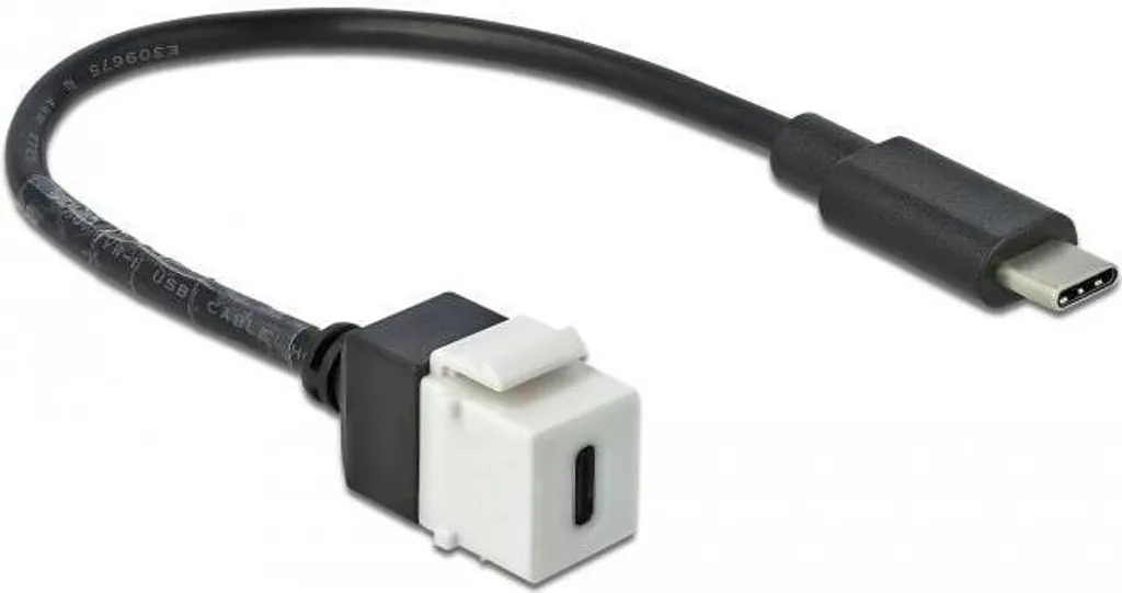 Adaptateur Keystone USB Type-C 5Gbps avec Rallonge Intégrée de 25 cm