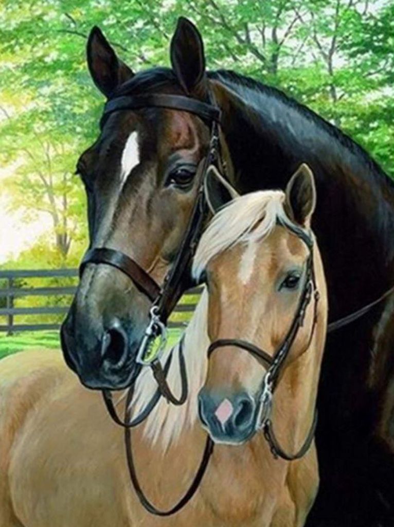 Diamond Painting Vollbild 50x70 cm mit runden Steinen