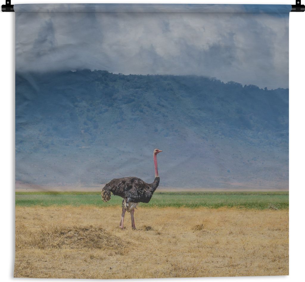 MuchoWow Wandteppich Wandbehang Strauß inmitten der Savanne des Ngorongoro-Kraters in Tansania 120x120 cm Tapisserie Dekoration Wandtuch - Moder...