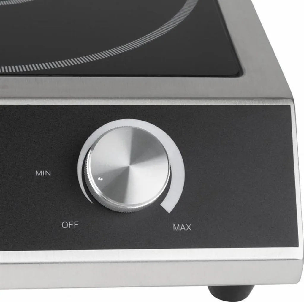 Buffalo Plaque de Cuisson à Induction 3000W - Modèle Haute Puissance CE