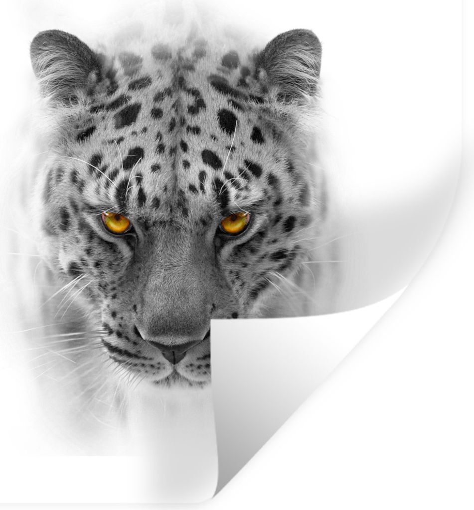 MuchoWow Wandtattoo Wandsticker Wandaufkleber Leopard - Schwarz - Weiß - Tiere 100x100 cm Selbstklebend und Repositionierbar - Wierderverwendbar...