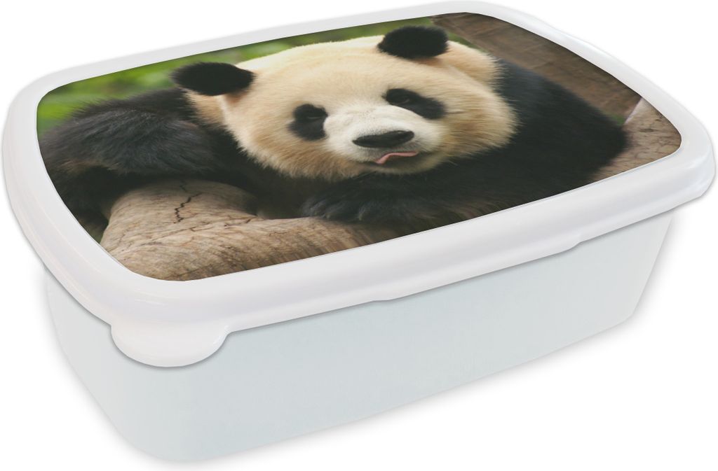 KitchenYeah Lunchbox Brotzeit Brotdose 17x11 cm Tiere - Panda - Bäume Kinder Brotzeitdose - Lunch Box - Kinder - Sandwich-Box - Schulbox - Lunch...