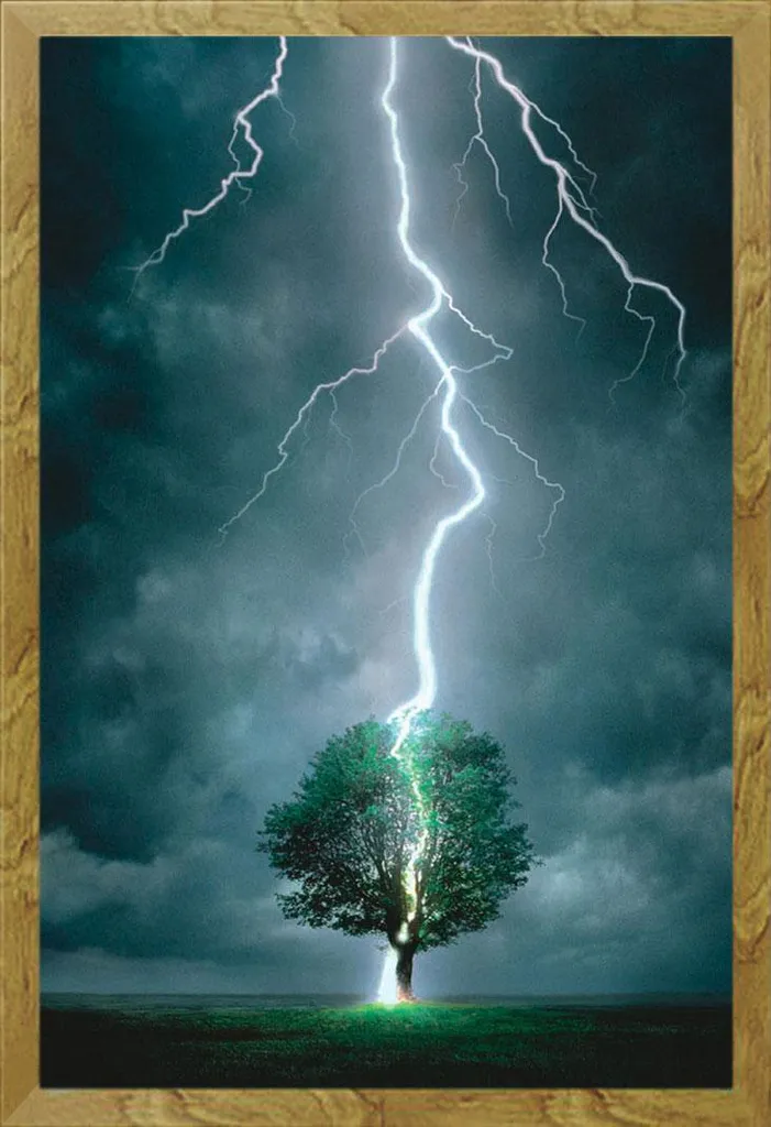 Poster Albero Fulminato I + Cornice Shinsuke® Rovere | Home Decor