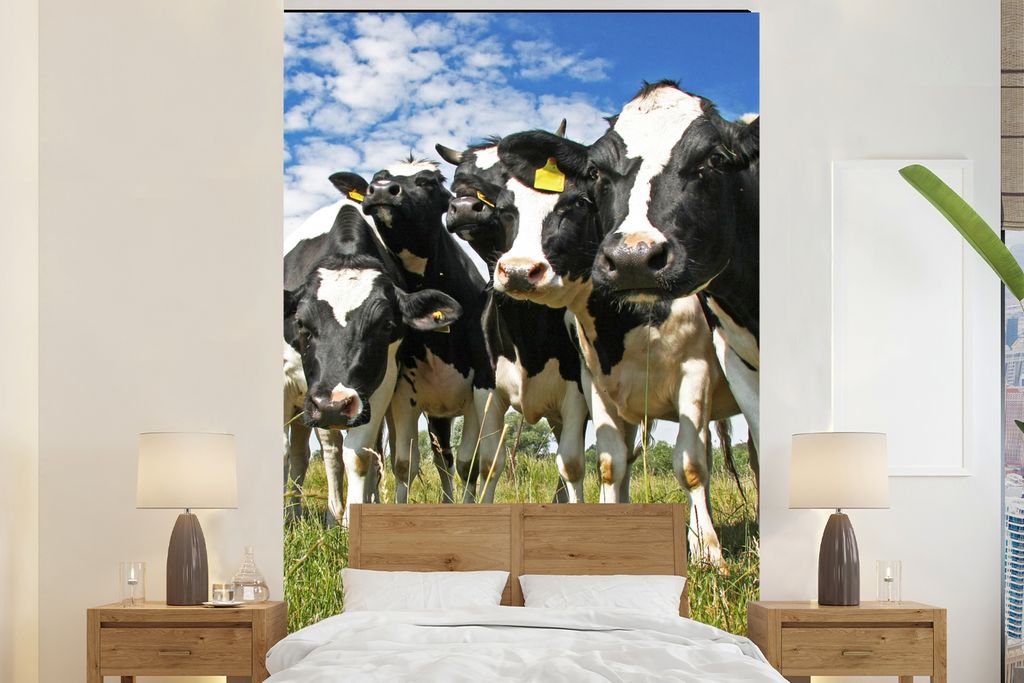 MuchoWow Fototapete für Wohnzimmer oder Schlafzimmer Wandtapete Vinyl Motivtapete Kühe - Gras - Wiese - Tiere - 145x220 cm - Wanddekoration