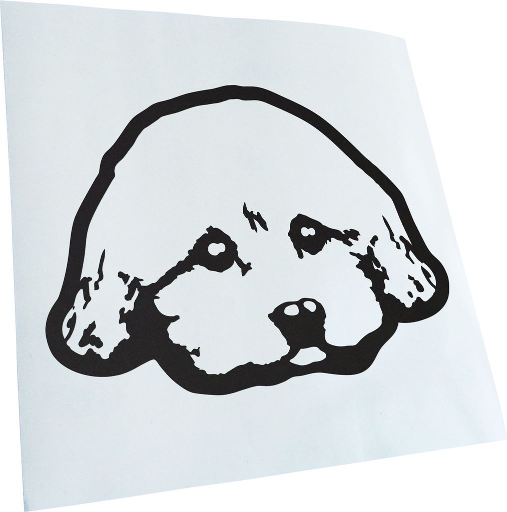 Kiwistar - Autoaufkleber - yorkie poo Hund - Mattschwarz - 30x21cm - Aufkleber für Auto, Laptop, Fahrrad, LKW, Motorrad mehrfarbig JDM Decal Racing