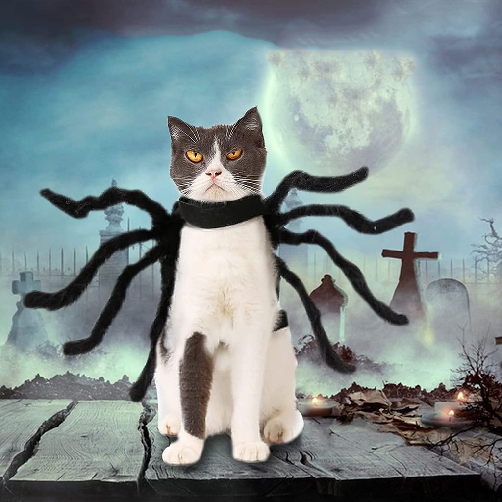 Halloween Katzenkostüm – Kürbis-Hut Für Haustiere, Verstellbar, Aus Weichem Plüsch