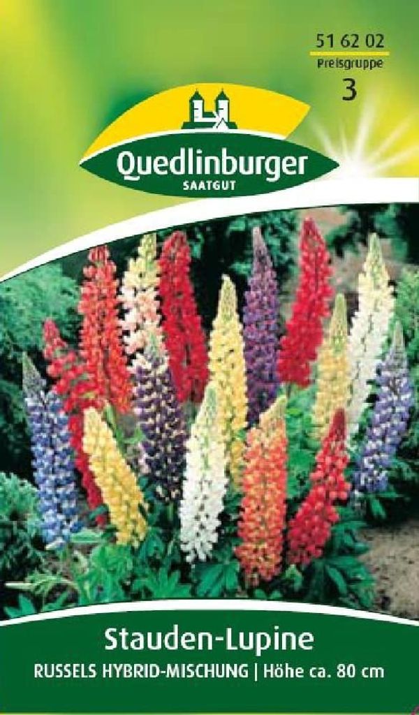 Stauden-Lupine, Russels Hybrid-Mischung Produktbild 