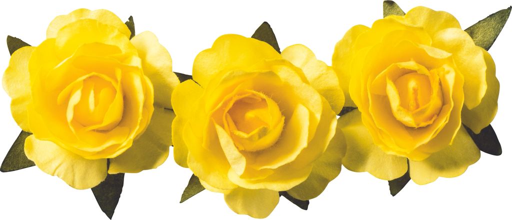 6XKNORR prandell 217611007 Papierblume ge