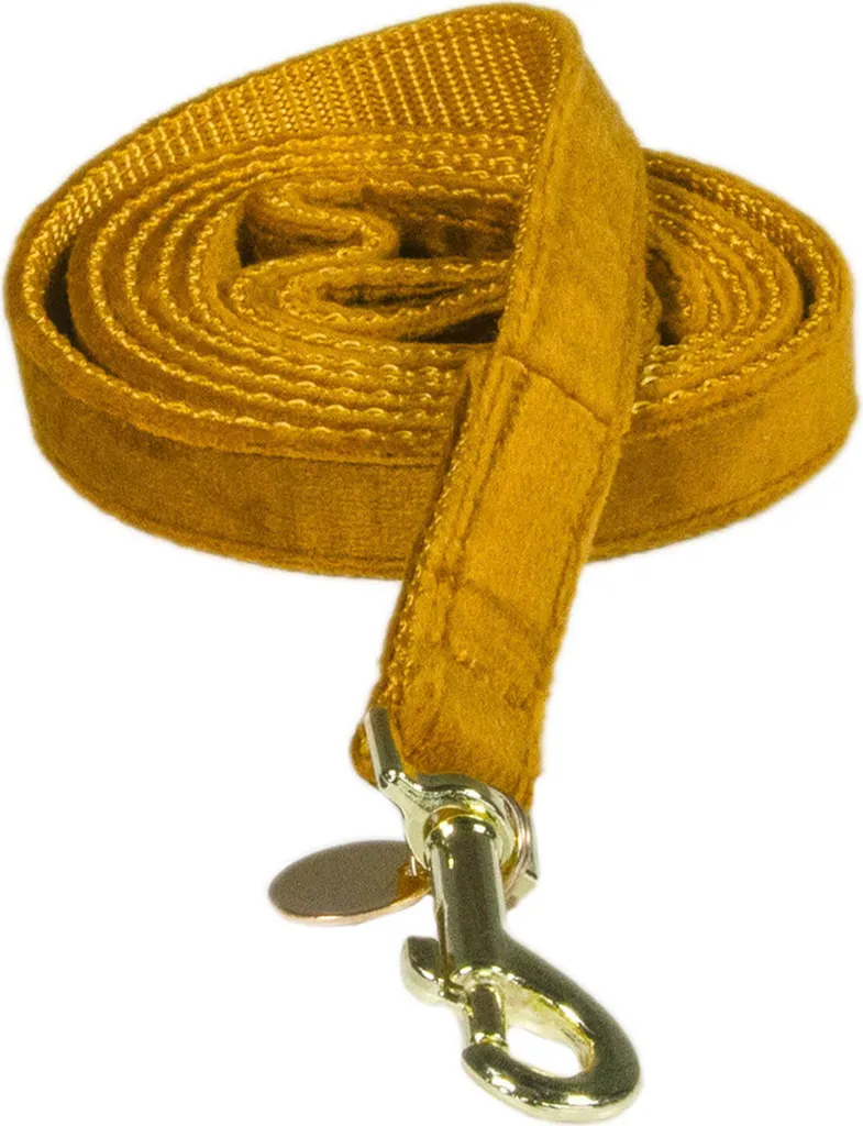 Laisse pour chien Velvet Kentucky Dogwear 120 cm Jaune Moutarde Taille S