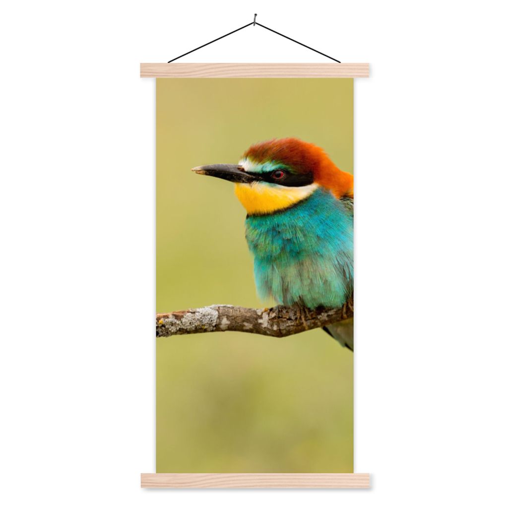 MuchoWow Textilposter Vogel - Bienenfresser - Tiere 60x120 cm mit holzfarbenen Rahmen - Holz