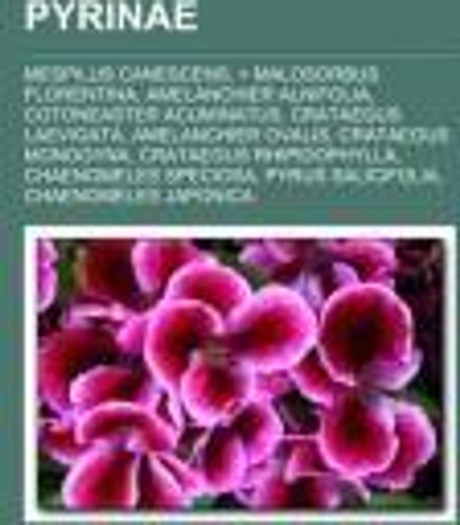Pyrinae